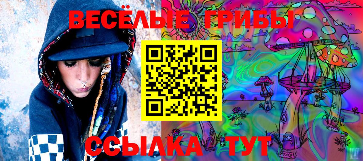 Псилоцибиновые грибы мицелий  Вход с VPN  Галлюциногенные грибы Psilocybe  Клинцы 